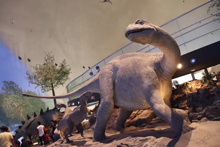 恐竜博物館⑦